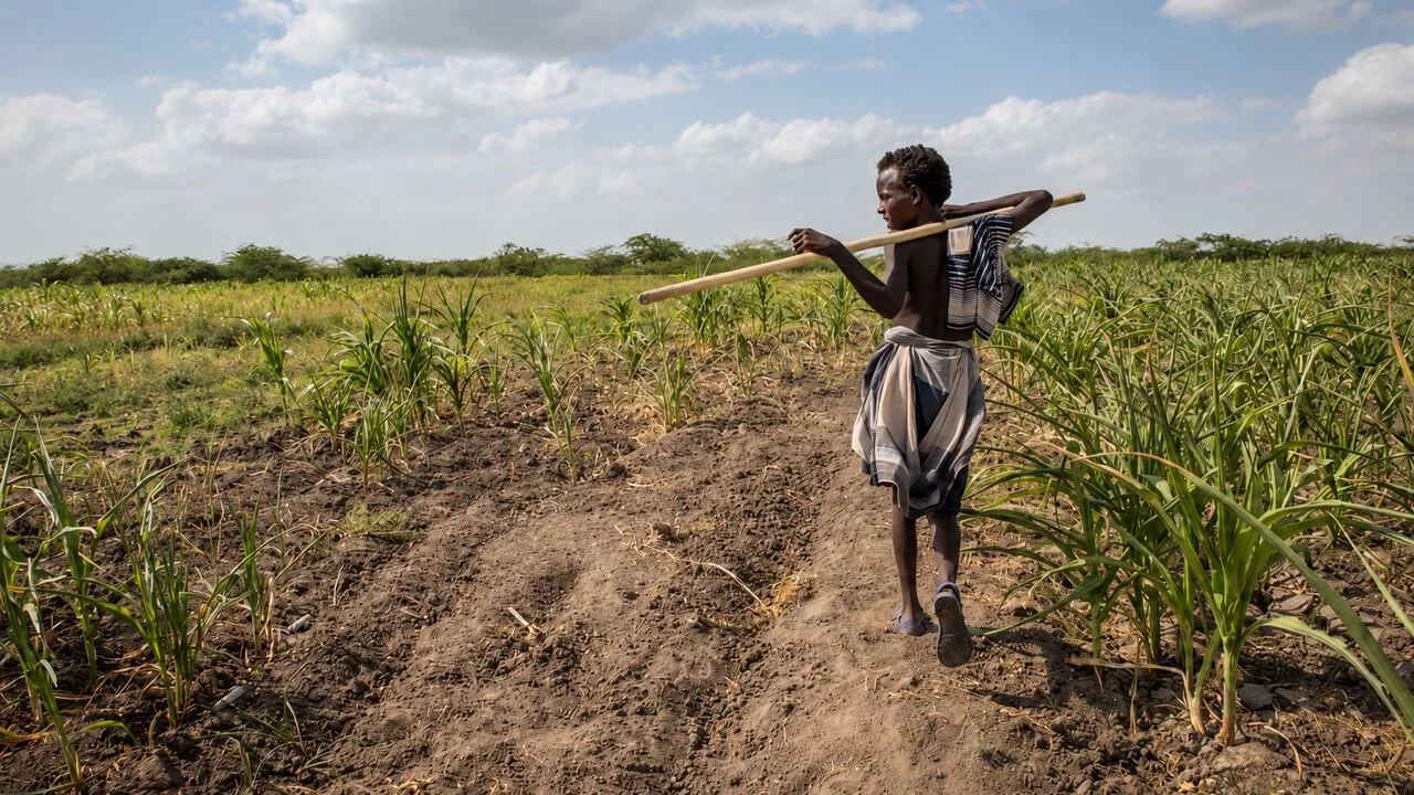 El Niño Pode Trazer Mais Seca e Fome a Moçambique