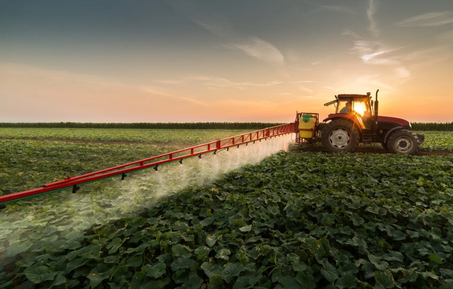 Governo Quer Formar Mil Empreendedores do Agronegócio por Ano
