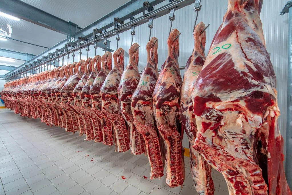 Namibia: EU Suspends Meat Imports Following Foot-and-Mouth Disease Outbreak