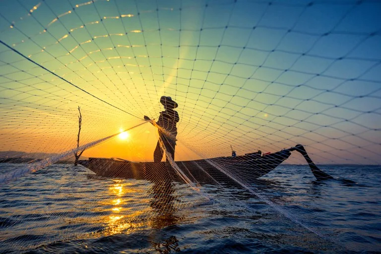 Shrimp Production in Sofala Falls by 40%