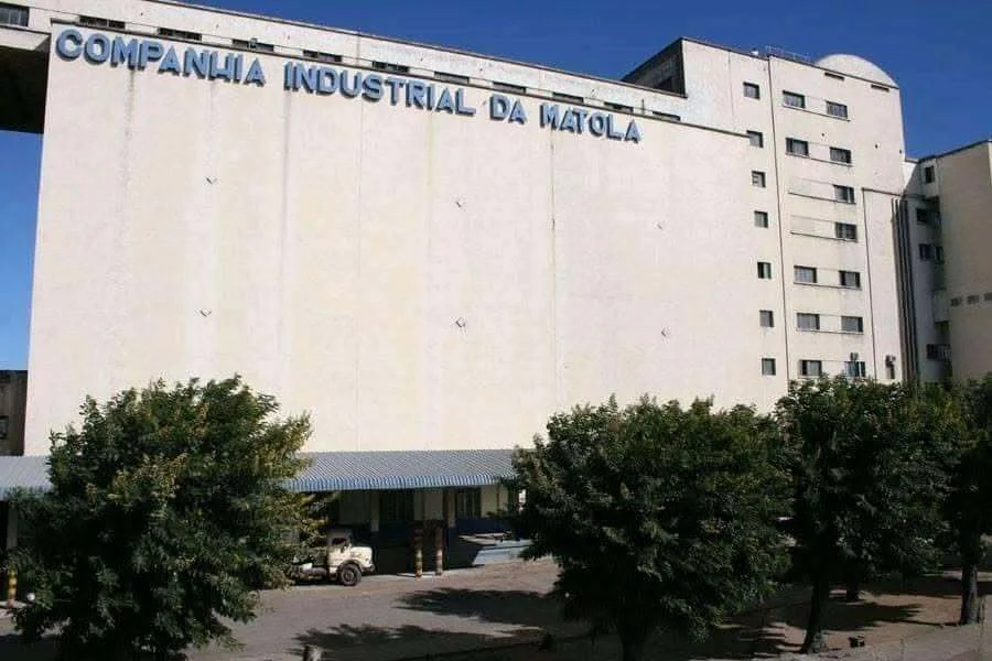 Instituto de Cereais Suspende Três Empresas por Violação das Regras de Importação