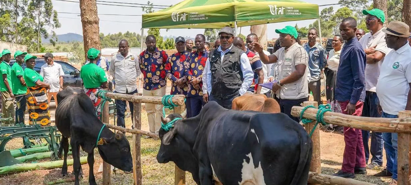Tete: Governo Aposta na Tracção Animal para Aumentar Produção Agrícola